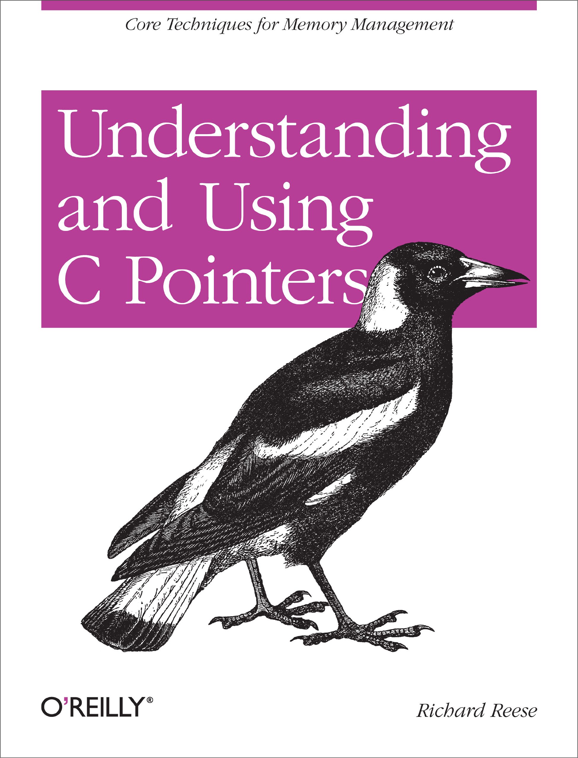 Algopix Similar Product 1 - Understanding and Using C Pointers