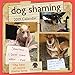 Algopix Similar Product 19 - Dog Shaming 2019 Wall Calendar