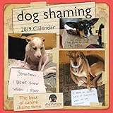 Algopix Similar Product 16 - Dog Shaming 2019 Wall Calendar
