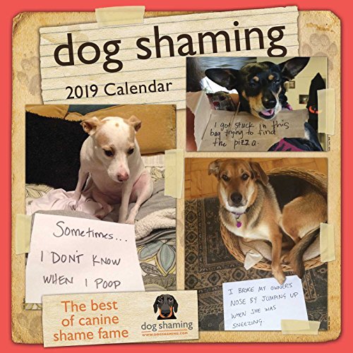 Algopix Similar Product 10 - Dog Shaming 2019 Wall Calendar