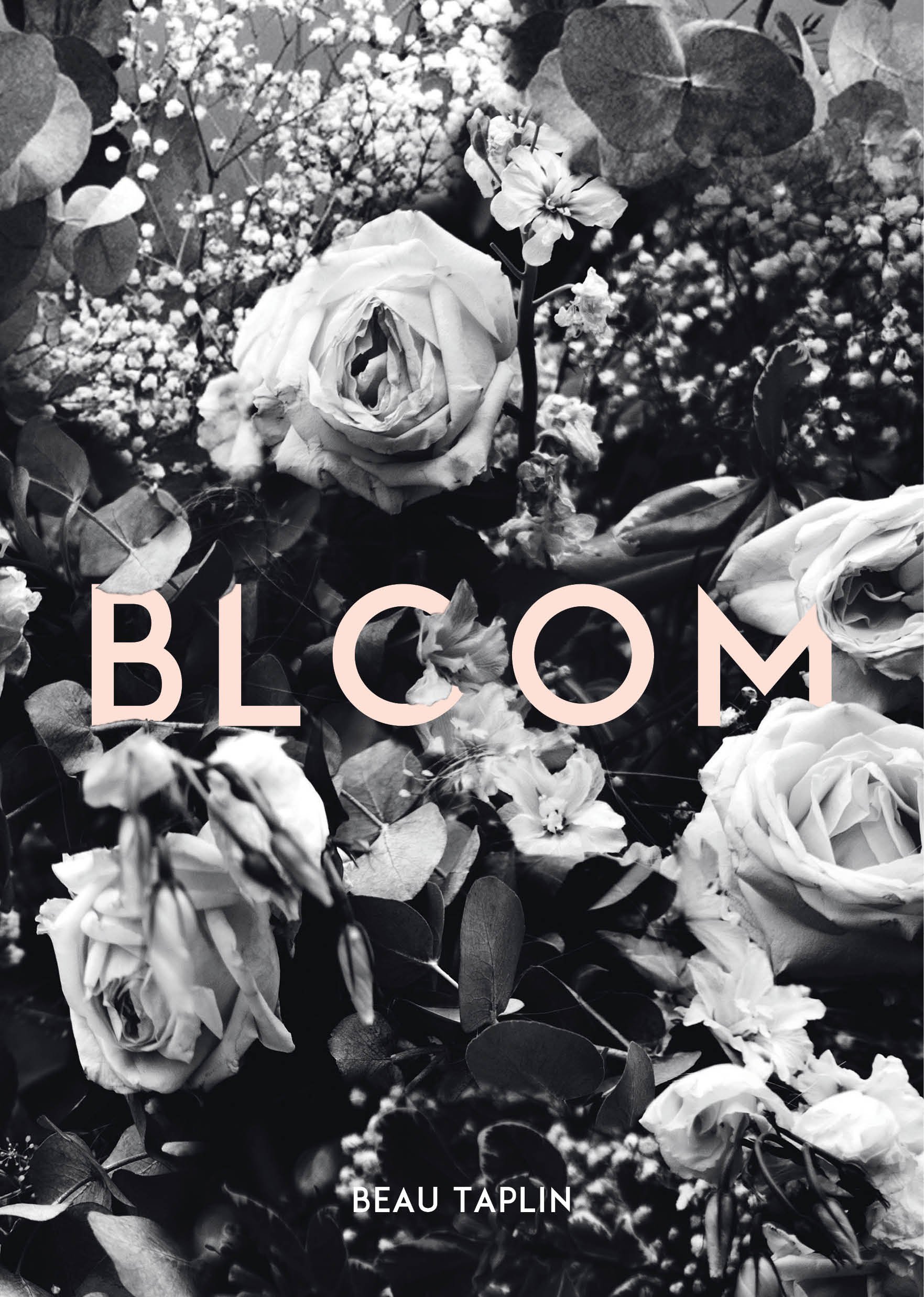 Algopix Similar Product 20 - Bloom
