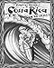 Algopix Similar Product 5 - The Surfers Guide to Costa Rica  SW