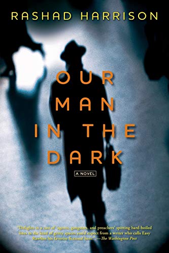 Algopix Similar Product 12 - Our Man in the Dark: A Novel