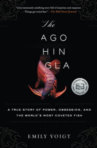Algopix Similar Product 10 - The Dragon Behind the Glass A True