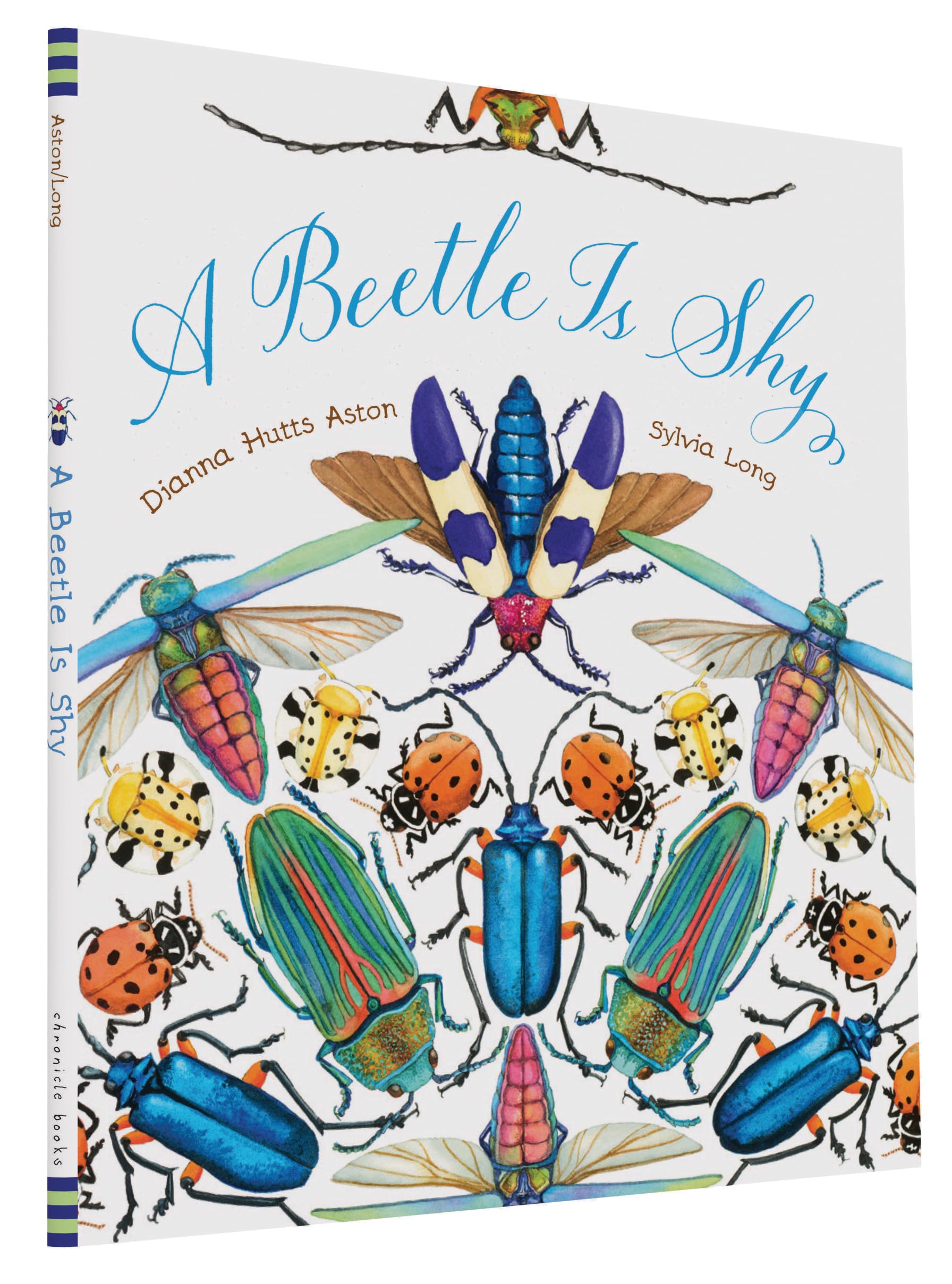 Algopix Similar Product 6 - A Beetle Is Shy Family Treasure Nature