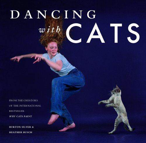 Algopix Similar Product 19 - Dancing with Cats From the Creators of
