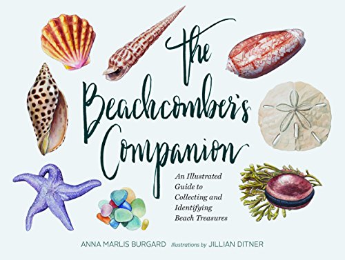 Algopix Similar Product 6 - The Beachcombers Companion An