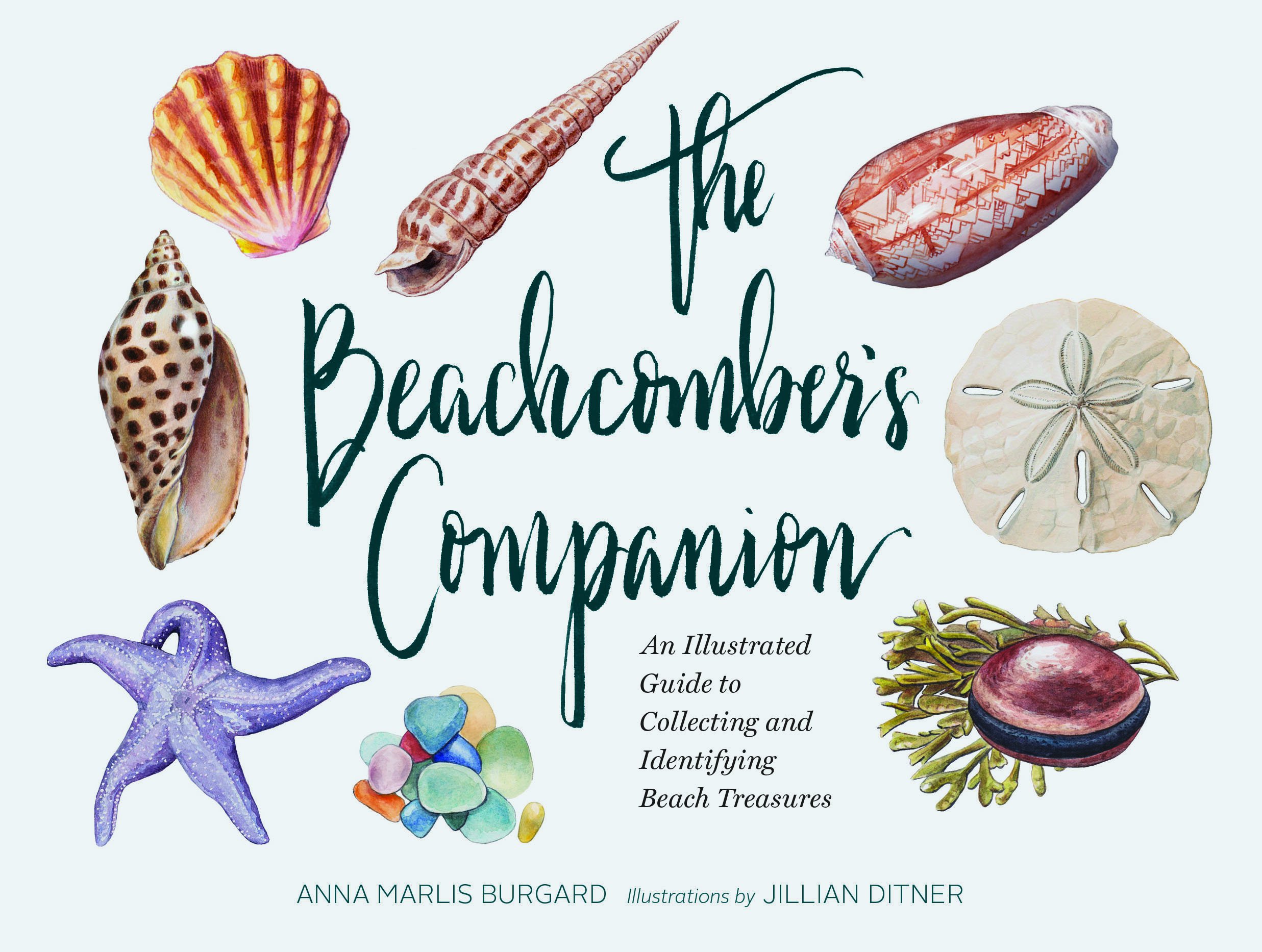 Algopix Similar Product 2 - The Beachcombers Companion An