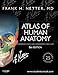Algopix Similar Product 8 - Atlas of Human Anatomy Including