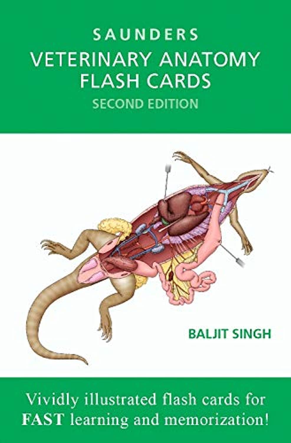 Algopix Similar Product 10 - Veterinary Anatomy Flash Cards