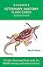Algopix Similar Product 12 - Veterinary Anatomy Flash Cards