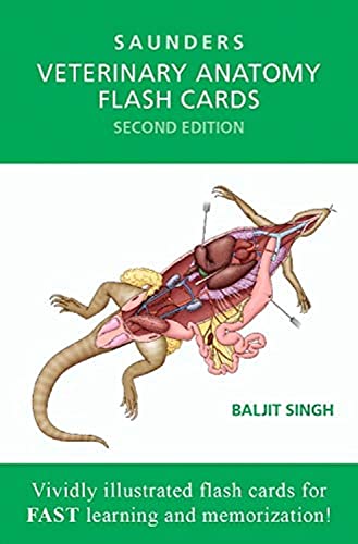 Algopix Similar Product 6 - Veterinary Anatomy Flash Cards