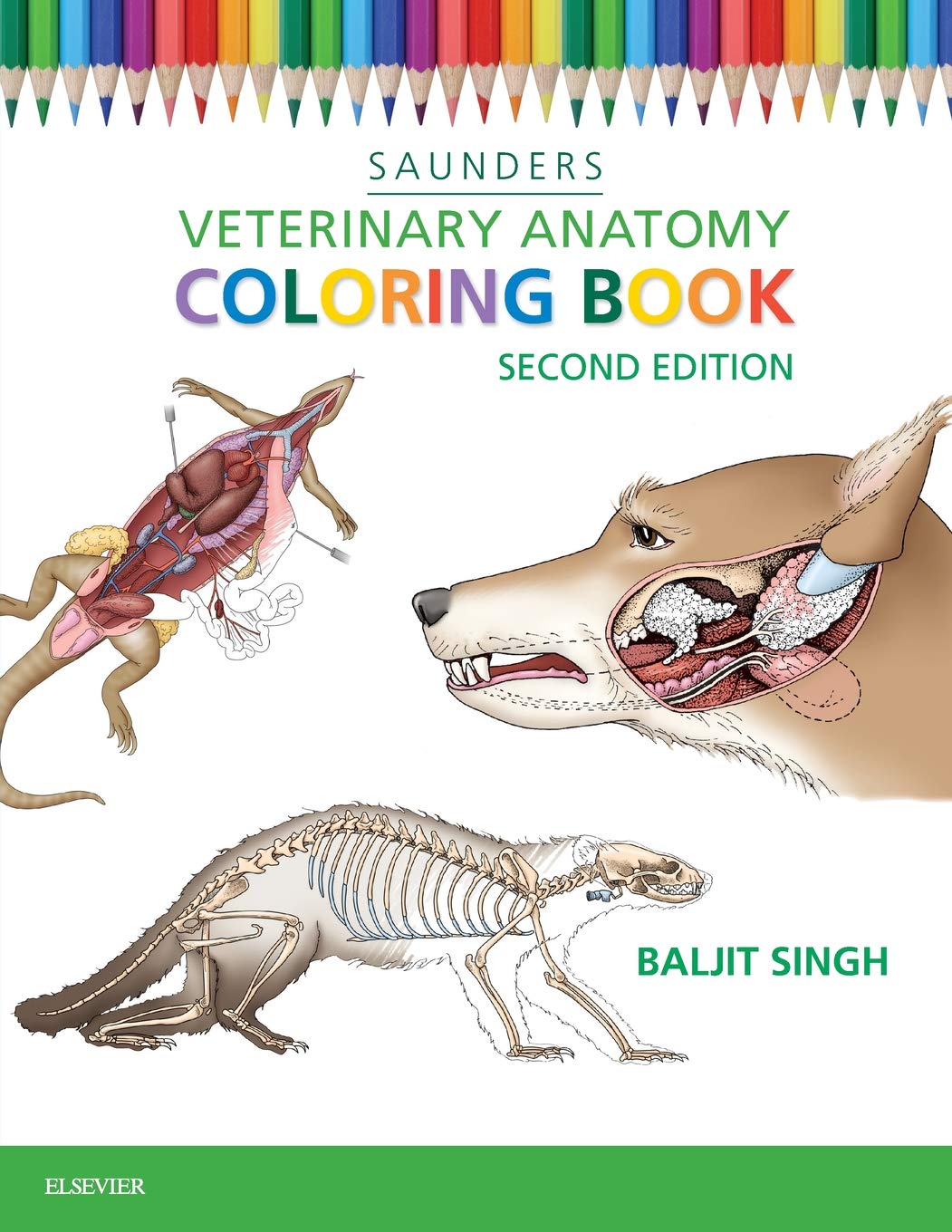 Algopix Similar Product 8 - Veterinary Anatomy Coloring Book