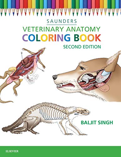 Algopix Similar Product 14 - Veterinary Anatomy Coloring Book