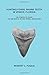Algopix Similar Product 1 - Hunting Fossil Shark Teeth In Venice