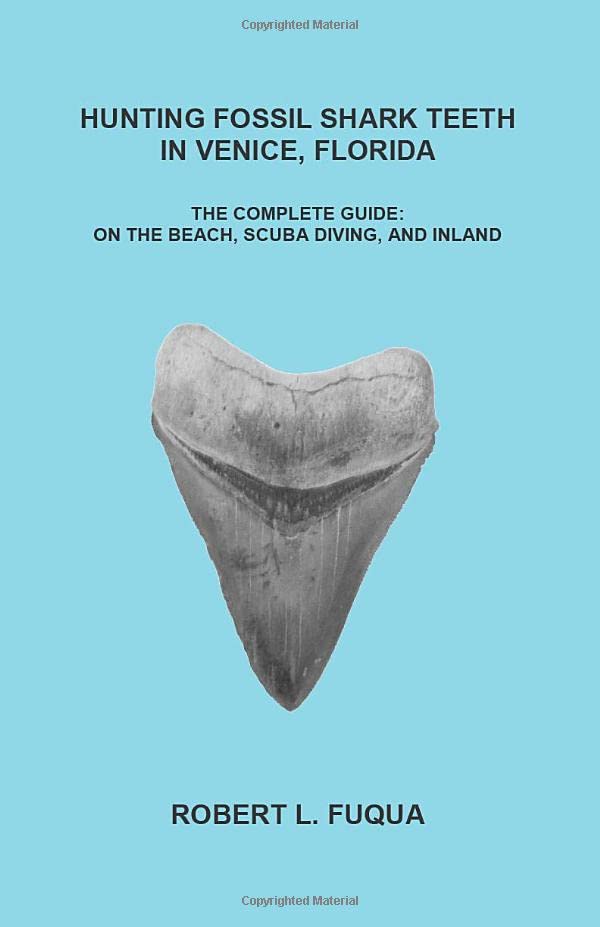 Algopix Similar Product 5 - Hunting Fossil Shark Teeth In Venice