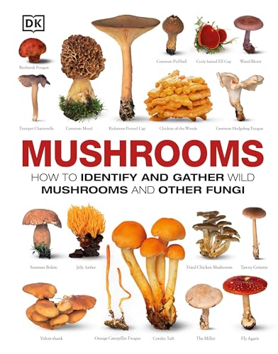 Algopix Similar Product 19 - Mushrooms How to Identify and Gather