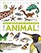 Algopix Similar Product 2 - The Animal Book A Visual Encyclopedia