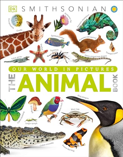 Algopix Similar Product 6 - The Animal Book A Visual Encyclopedia