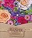 Algopix Similar Product 5 - The Flower Book Let the Beauty of Each