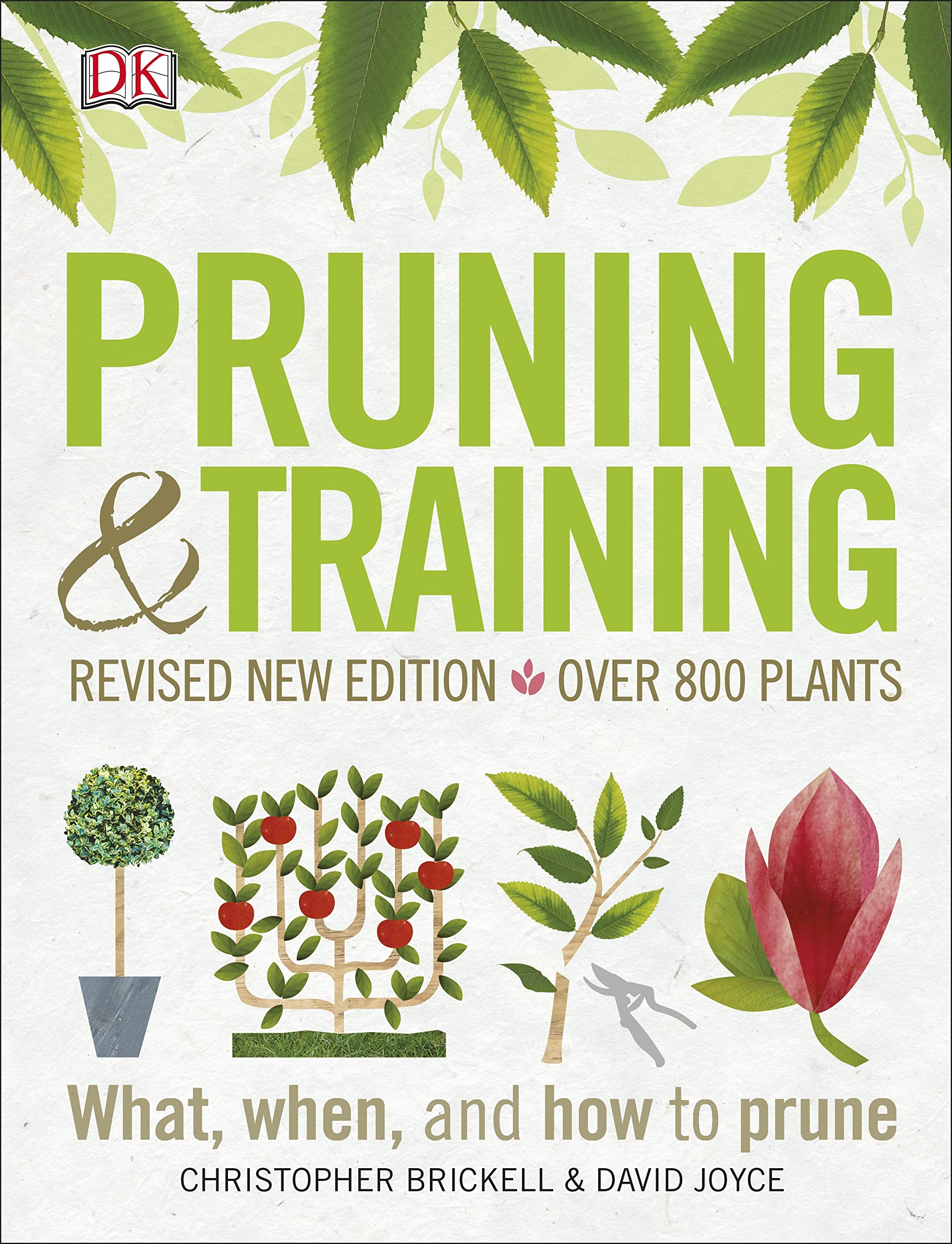 Algopix Similar Product 10 - Pruning and Training Revised New