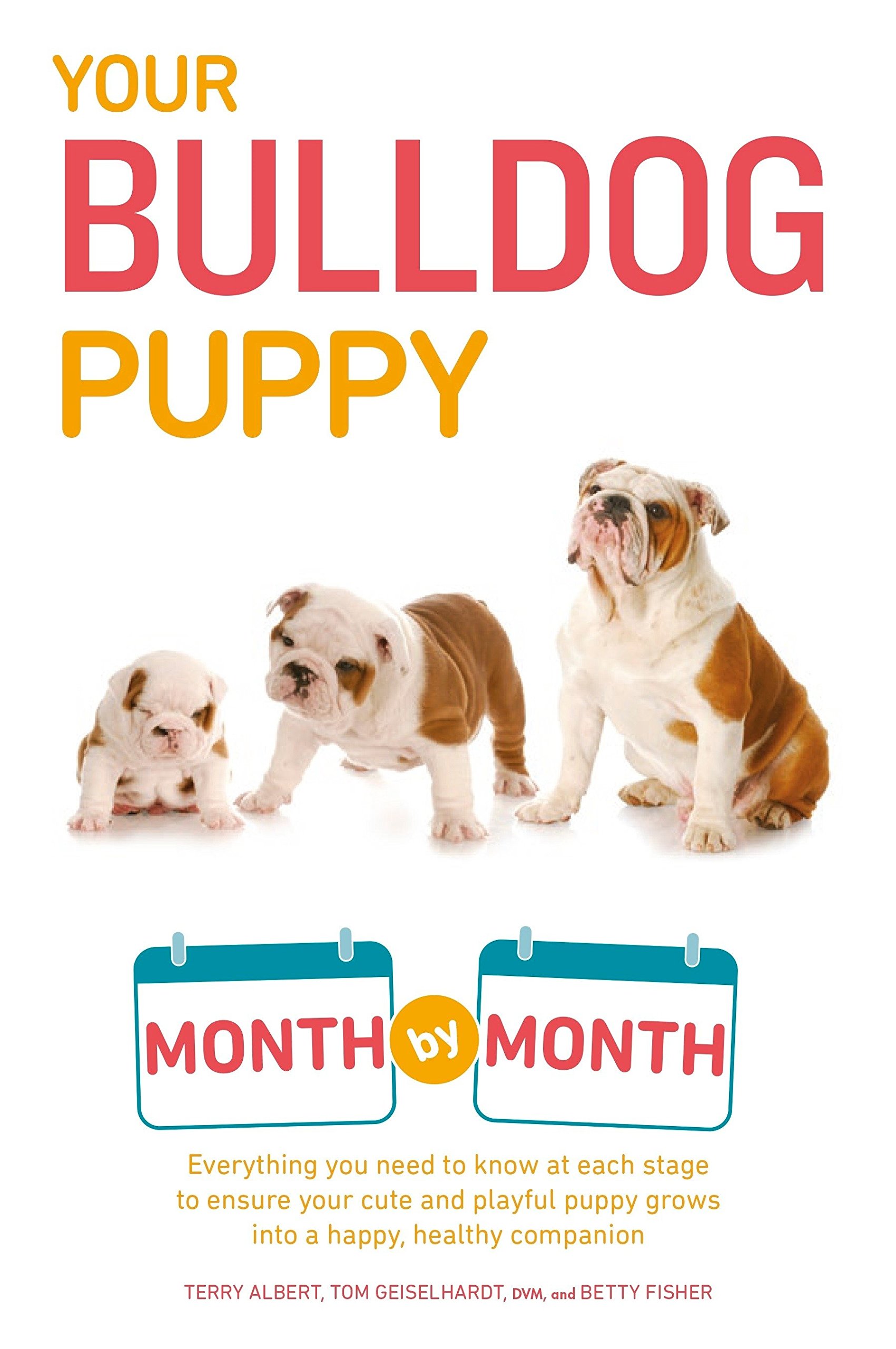 Algopix Similar Product 2 - Your Bulldog Puppy Month by Month