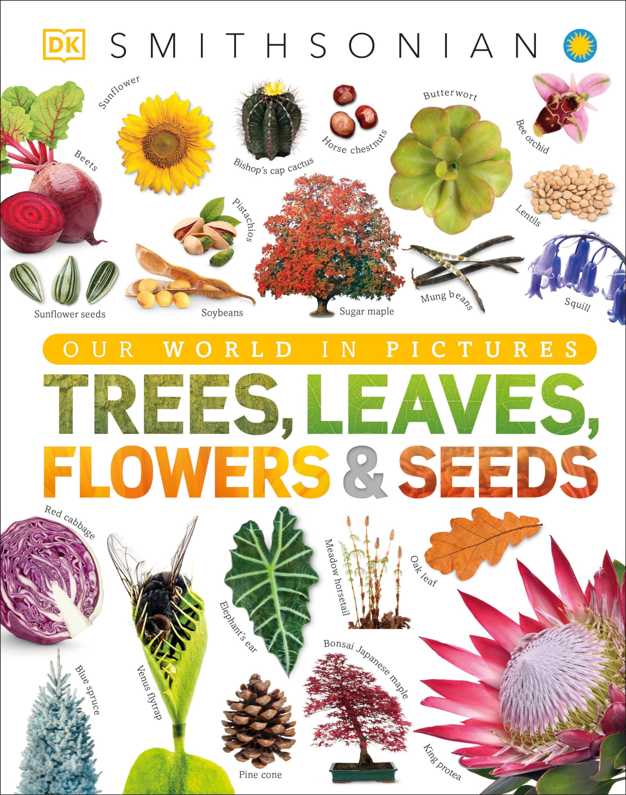 Algopix Similar Product 4 - Trees Leaves Flowers and Seeds A