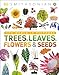 Algopix Similar Product 14 - Trees Leaves Flowers and Seeds A