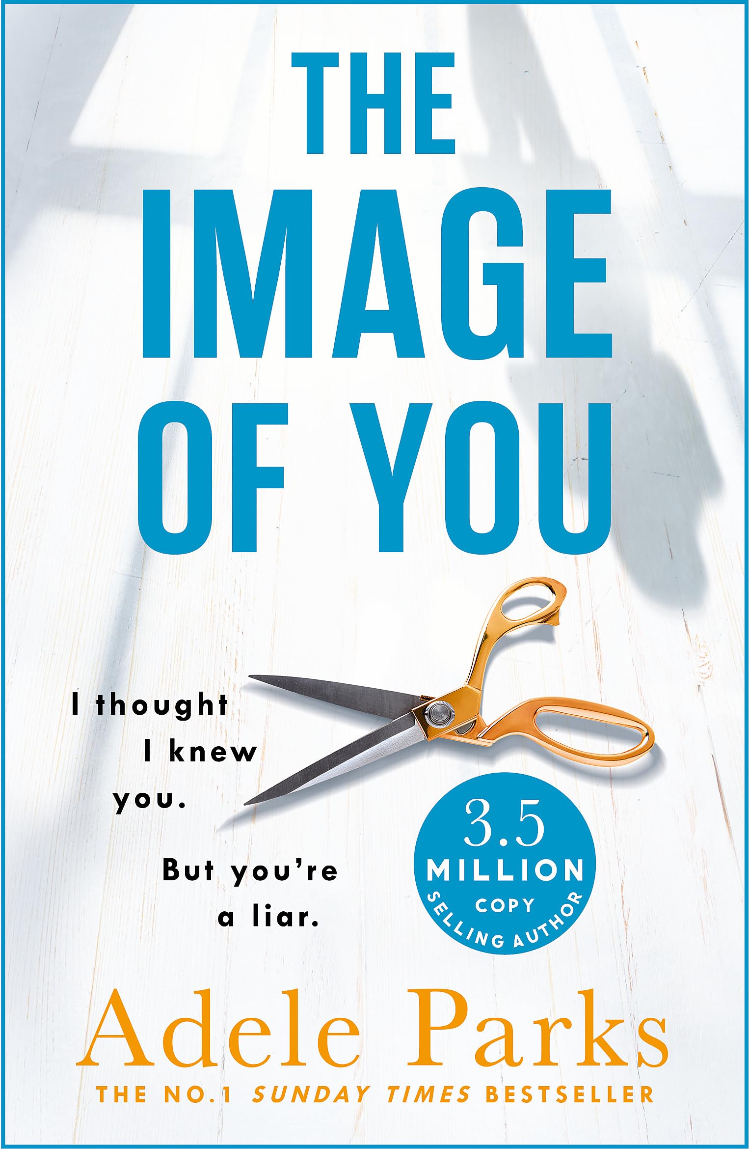 Algopix Similar Product 20 - The Image of You
