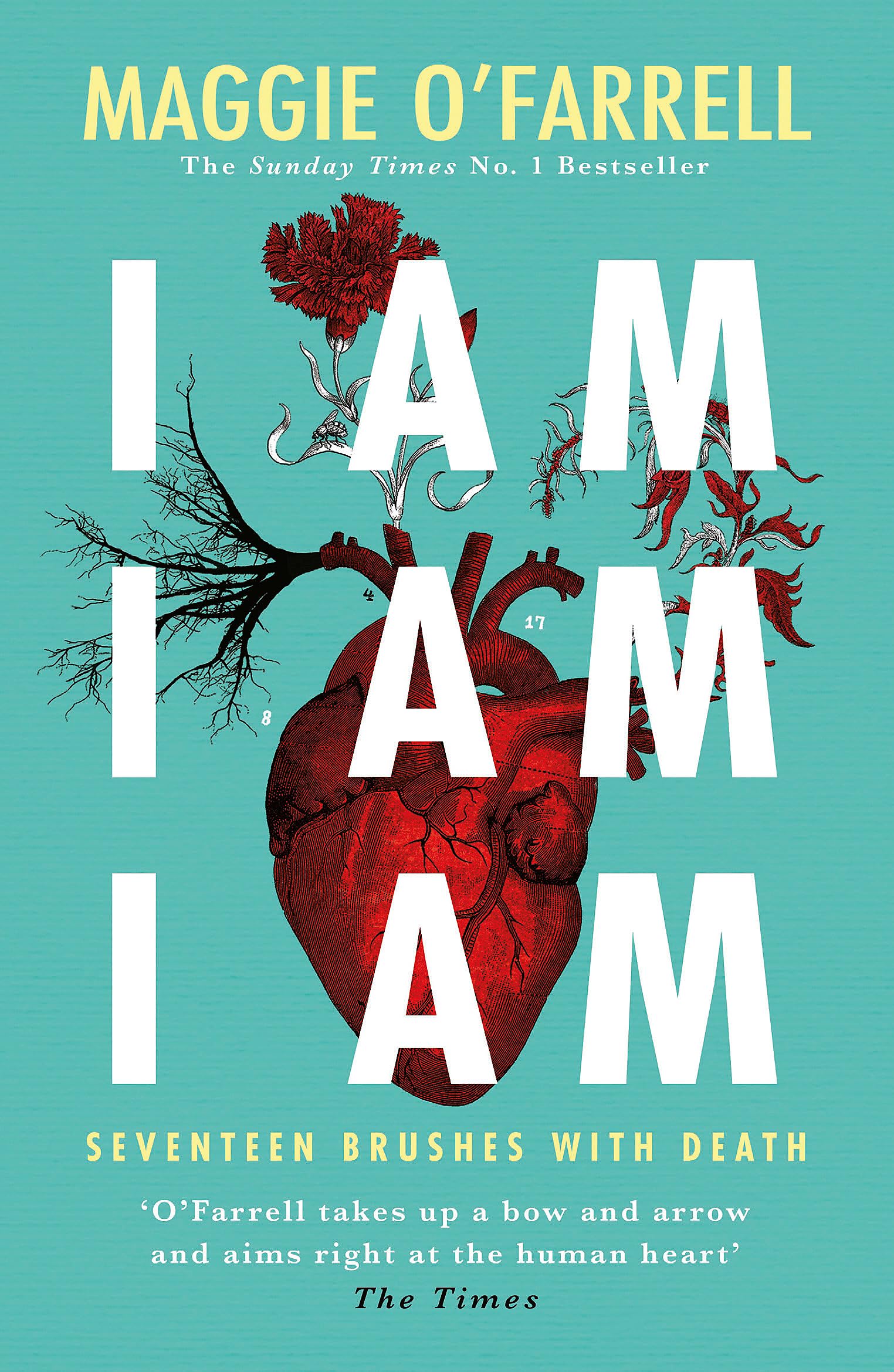 Algopix Similar Product 8 - I am I am I am Seventeen Brushes