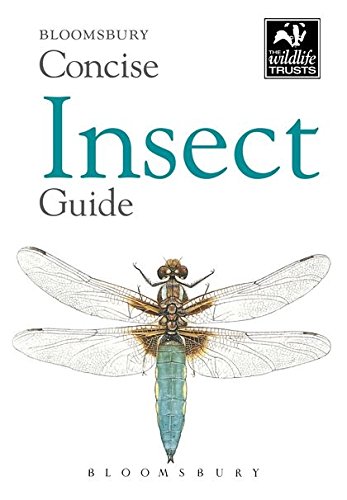 Algopix Similar Product 2 - Concise Insect Guide Bloomsbury