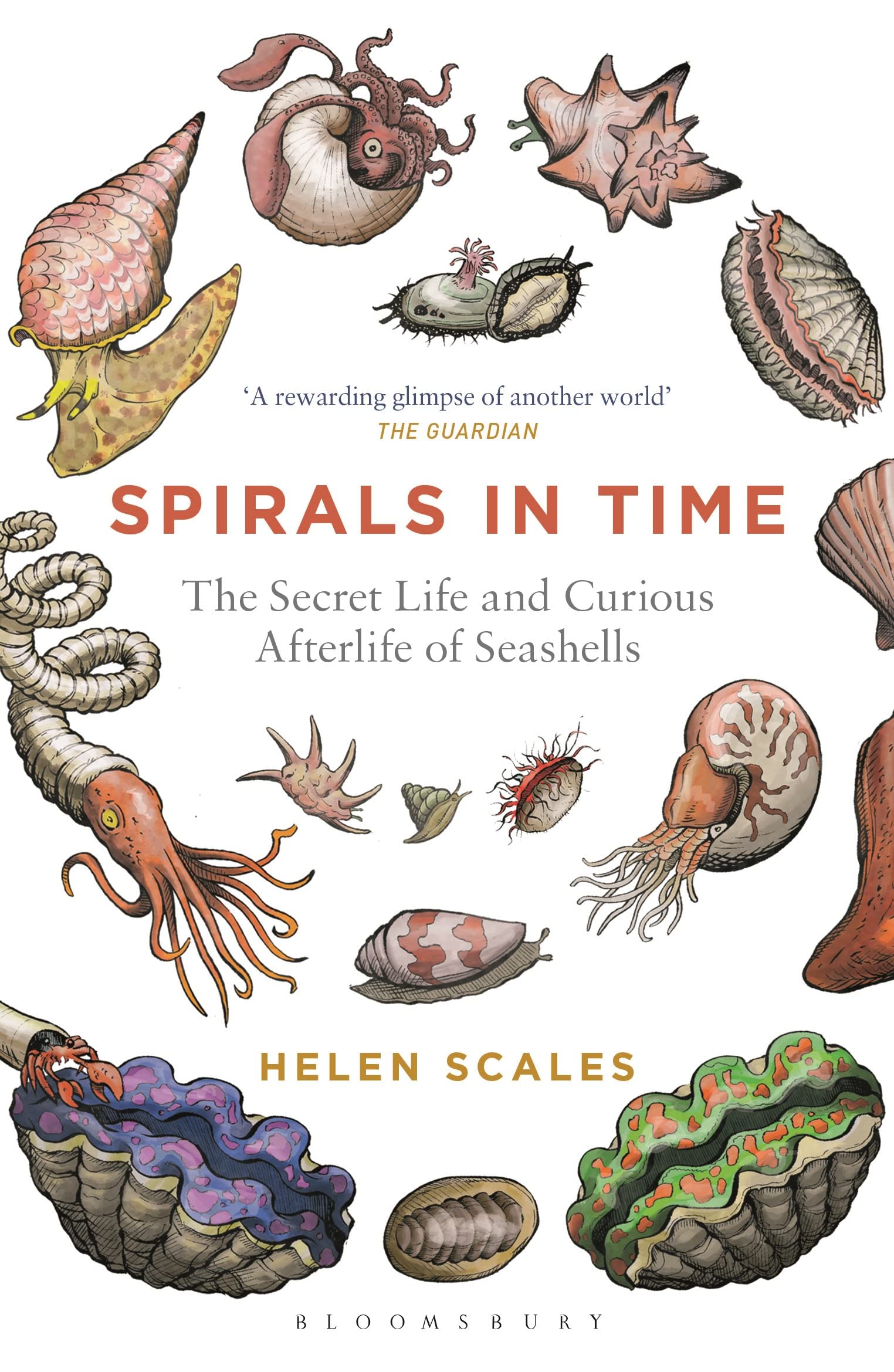 Algopix Similar Product 20 - Spirals in Time The Secret Life and