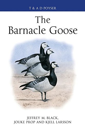 Algopix Similar Product 12 - The Barnacle Goose