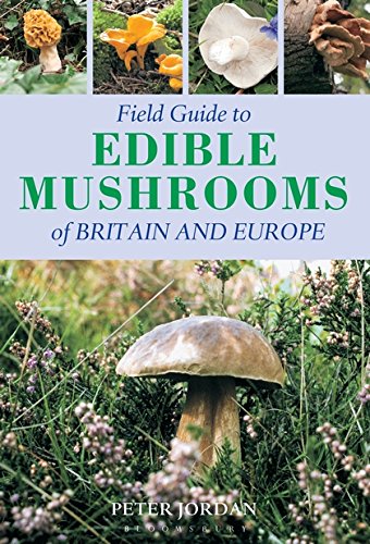 Algopix Similar Product 2 - Field Guide To Edible Mushrooms Of