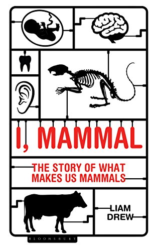 Algopix Similar Product 3 - I Mammal The Story of What Makes Us