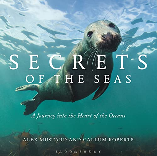 Algopix Similar Product 17 - Secrets of the Seas A journey into the