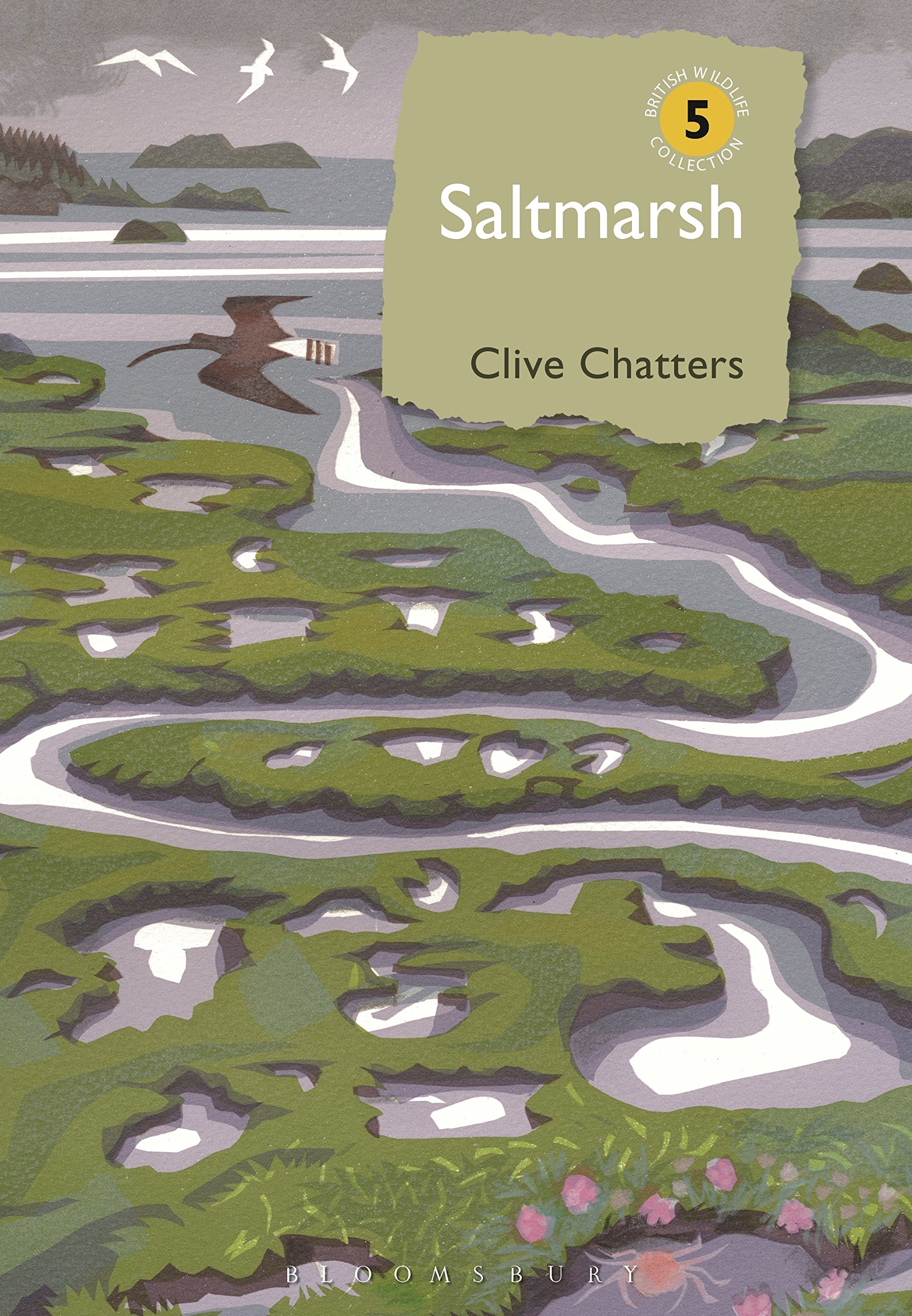 Algopix Similar Product 10 - Saltmarsh (British Wildlife Collection)