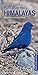 Algopix Similar Product 7 - Birds of the Himalayas Pocket Photo