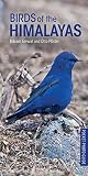 Algopix Similar Product 19 - Birds of the Himalayas Pocket Photo