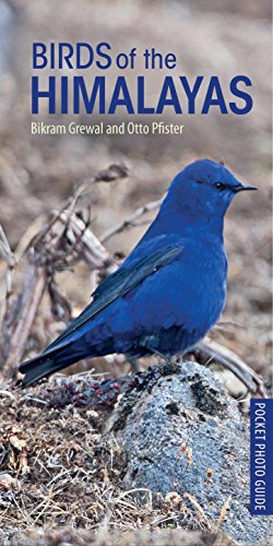 Algopix Similar Product 2 - Birds of the Himalayas Pocket Photo