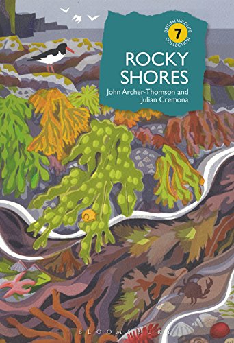 Algopix Similar Product 11 - Rocky Shores British Wildlife