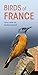 Algopix Similar Product 19 - Birds of France (Pocket Photo Guides)