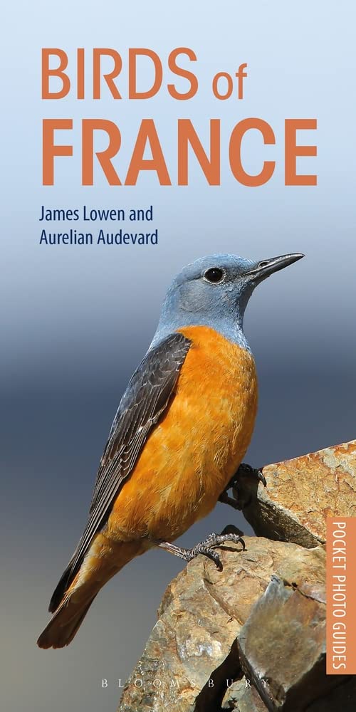 Algopix Similar Product 14 - Birds of France (Pocket Photo Guides)