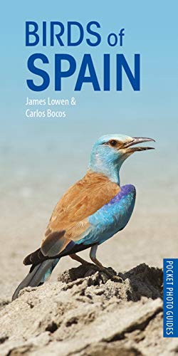 Algopix Similar Product 19 - Birds of Spain (Pocket Photo Guides)