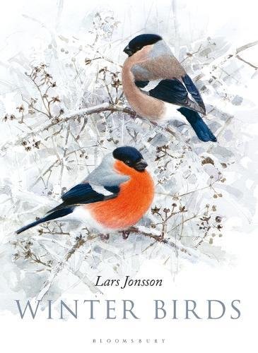 Algopix Similar Product 3 - Winter Birds