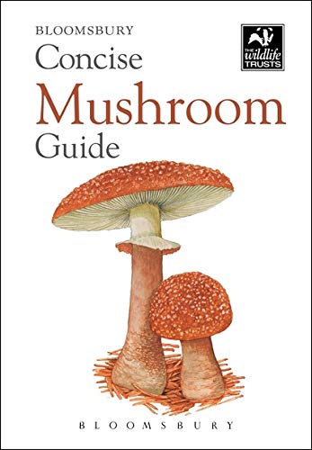 Algopix Similar Product 20 - Concise Mushroom Guide (Concise Guides)