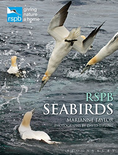 Algopix Similar Product 15 - RSPB Seabirds