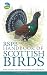 Algopix Similar Product 16 - RSPB Handbook of Scottish Birds Second