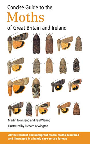 Algopix Similar Product 1 - Concise Guide to the Moths of Great
