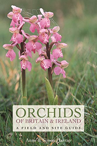 Algopix Similar Product 17 - Orchids of Britain and Ireland A Field
